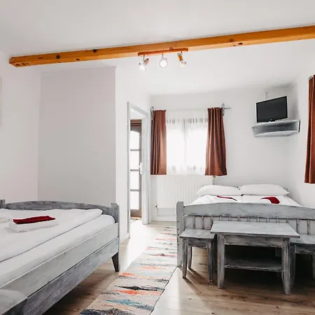 Bed & Breakfast Pensiunea Csur Panzio *