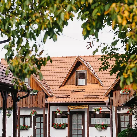 Pensiunea Csur Panzio Bed & Breakfast Praid
