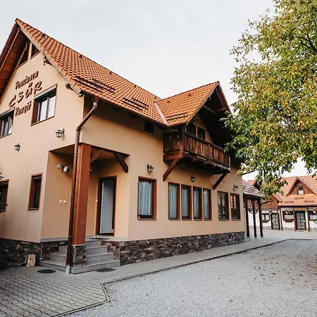 Bed & Breakfast Pensiunea Csur Panzio *