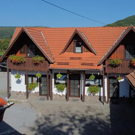 Pensiunea Csur Panzio Bed & Breakfast Praid