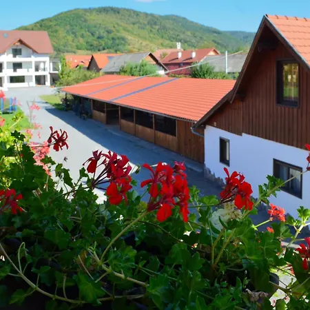 Bed & Breakfast Pensiunea Csur Panzio Praid