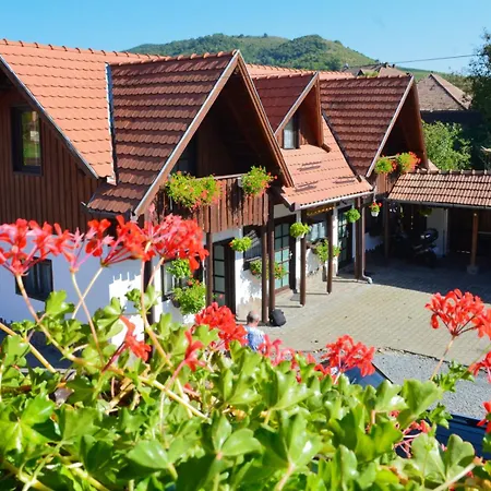 Pensiunea Csur Panzio Bed & Breakfast